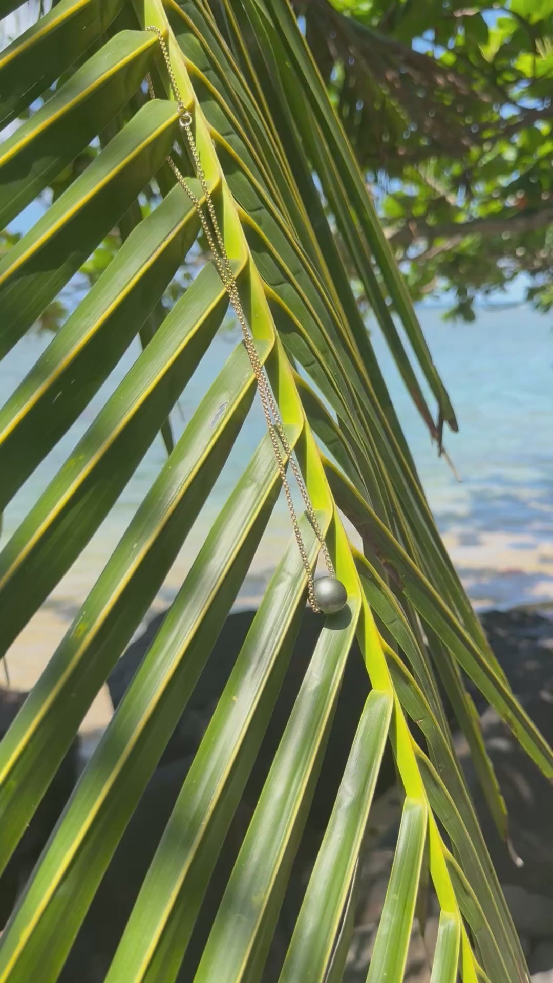 The Tahitian Dream Necklace